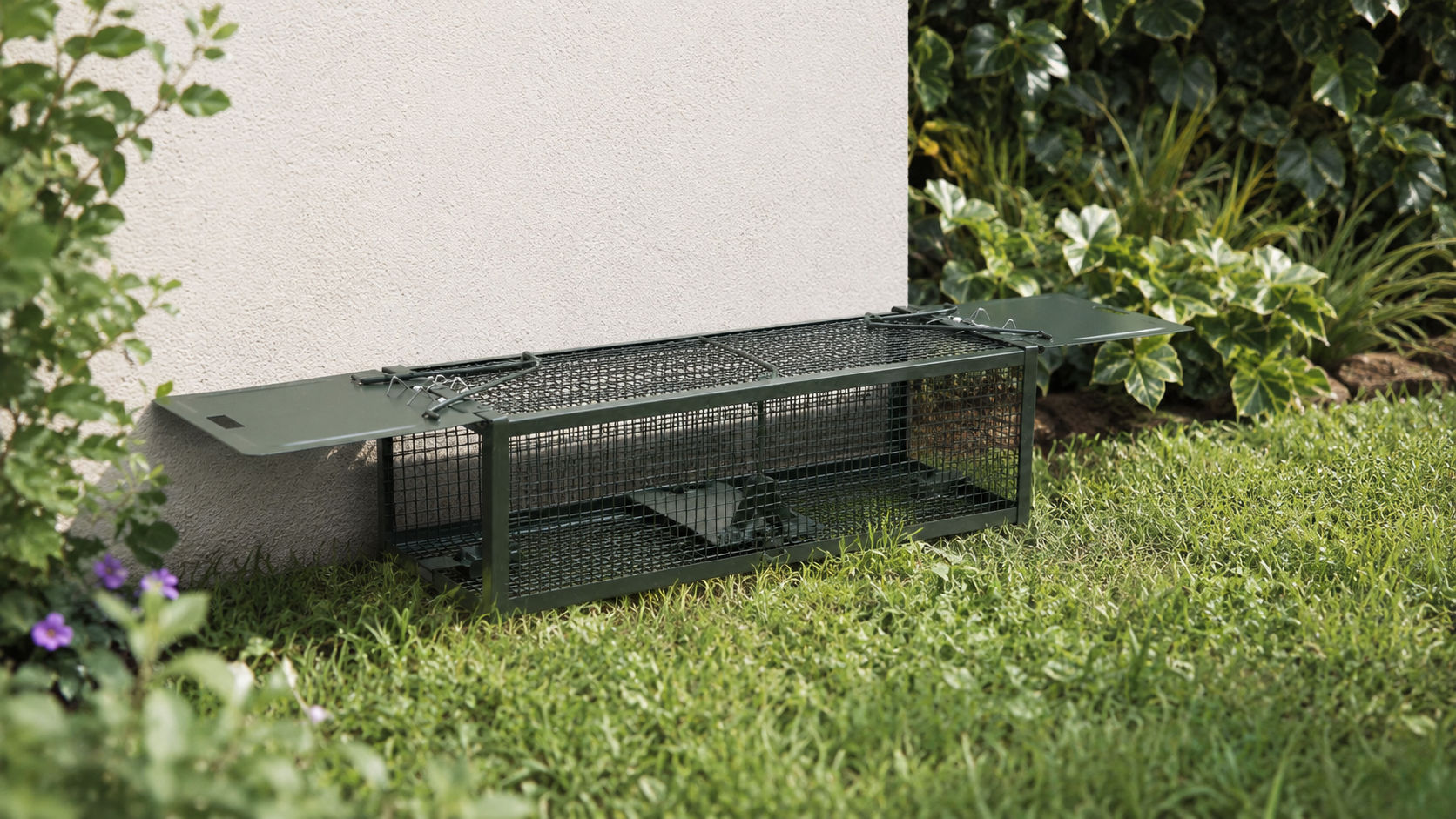 Piège à rat non létal RattenBlock installé dans un jardin le long d’un mur de maison
