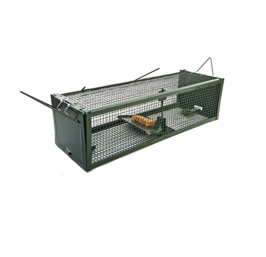 Piège à rat non létal RattenBlock fermé, cage métallique réutilisable sans poison