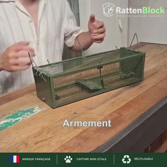 RattenBlock – Piège à rat non létal à double entrée